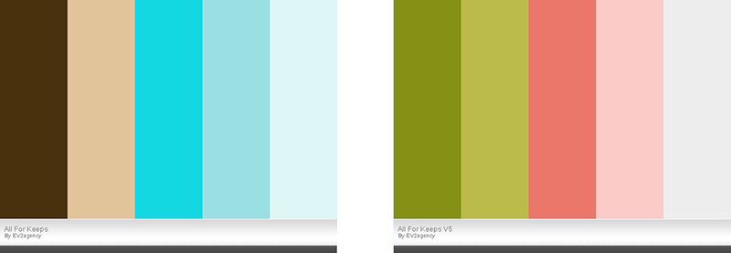 color palette EV2 Agency